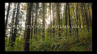 Slightly Foggy Autumn Walk  GoPro Hero 10  Hohem iSteady Pro 4 [upl. by Neelyak4]