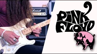 Pink Floyd Dogs Guitar Solos ALL [upl. by Pasadis]