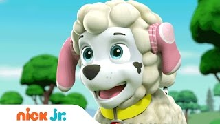 Nursery Rhyme Songs for Kids  Stay Home WithMe  Music  Nick Jr [upl. by Ednyl]