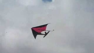 Rogallo kite wing RC Easy Star [upl. by Arata]