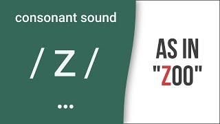 Consonant Sound  z  as in quotzooquot – American English Pronunciation [upl. by Weatherley512]