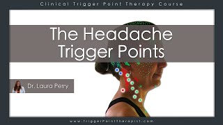 The Headache Trigger Points [upl. by Kerwon669]