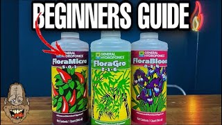 How To Mix Hydroponic Nutrients For Beginners [upl. by Stempien]