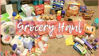 Grocery Haul for College Dorm Pack with me for college [upl. by Dolley]