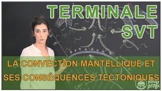 La convection mantellique et ses conséquences tectoniques  SVT  Terminale  Les Bons Profs [upl. by Eirb]