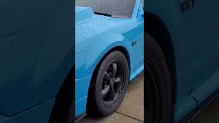 GRABBER BLUE NEW EDGE MUSTANG makingmustangsgreatagain automobile mustangsociety fordmustang [upl. by Estrellita983]