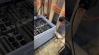 Liquid cooled Bitcoin miners  how much does this DCX immersion tank cost to run [upl. by Nalyk96]