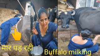 Buffalo milking by hand indian village cute👩anjanasharma cowbuffalomilkingviralvideodailyroutine [upl. by Nal]