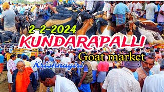 222024 Kundarapalli Friday Goat marketTamilnadu Biggest Goat market in Krishnagiri price details [upl. by Damalus]