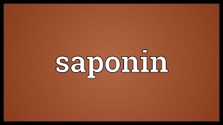 Saponin Meaning [upl. by Bricker972]