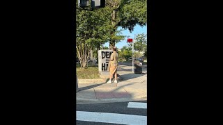 Vandalism suspect caught on camera at Little Gay Pub in Northwest DC [upl. by Nobie]