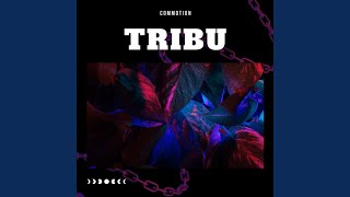 Tribu [upl. by Lilian]