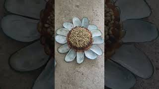 short vitamin D tablet  ഉഴുന്ന് പരിപ്പ് sunflower [upl. by Alliuqaj]