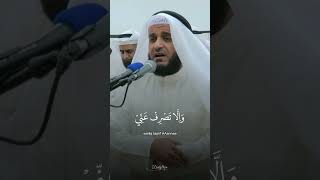 Beautiful Quran Recitation [upl. by Pierrepont694]