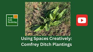 Using Spaces Creatively Comfrey Ditch Plantings [upl. by Naneik458]