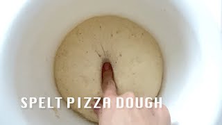 Tijesto za pizzu od pirovog brašna  Spelt Pizza Dough [upl. by Dirraj292]