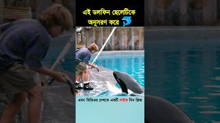 এই ডলফিন ছেলেটিকে অনুসরণ করে shorts shortsvideo [upl. by Gisser747]