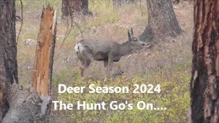 Deer Season 2024 The Hunt Gos on [upl. by Thierry338]