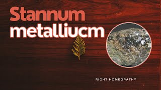 Stannum metallicum  HERF  Right Homeopathy [upl. by Miran389]