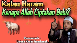 Kenapa Allah Cipatakan Babi Haram  Ustadz Khalid Basalamah [upl. by Gowon]