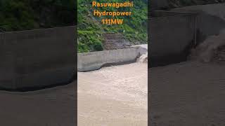 Rasuwagadhi hydropower hydropower flood entertainment world shorts short [upl. by Obocaj]