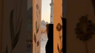 Pacification at the Sheikh Zayed Mosque🕌 [upl. by Cari795]