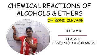 Chemical Reactions Of Alcohols Phenols amp Ethers In Tamil Class 12 Hydroxy Compounds OH Cleavage [upl. by Rianna]