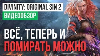 Обзор игры Divinity Original Sin 2 [upl. by Ggerg]