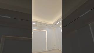 Modern Family Hall Lighting Ideas  Hidden Liner Light amp Magnetic Track Light Install youtubeshorts [upl. by Eugenle574]