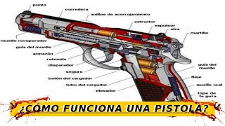 PARTES DE UN ARM4 DE FU3G0  Balística Forense [upl. by Repooc]