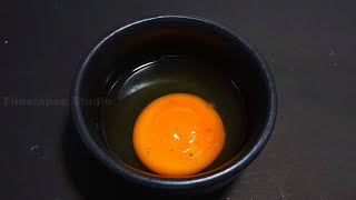 Black Fungus Breaking Egg Yolk  Egg Timelapse  Food Timelapse [upl. by Salli558]