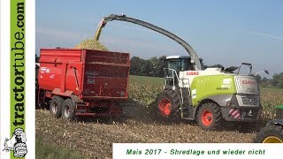 Mais 2017  Shredlage oder nicht  Erfahrungen eines Milchviehbetriebes  pur sound [upl. by Neeneg]