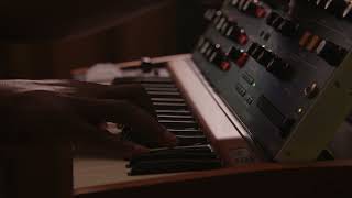 Behringer Poly D  Creating Music No Talking [upl. by Rebecca]