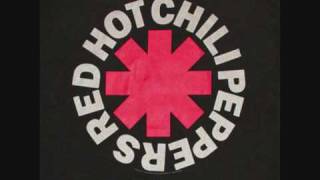 RED HOT CHILLI PEPPERS  CANT STOP [upl. by Ecyt]