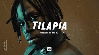 Fireboy x Joeboy x Omah lay Afrobeat type beat 2023  TILAPIA [upl. by Anielram741]