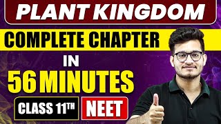 PLANT KINGDOM in 56 Minutes  Full Chapter Revision  Class 11 NEET [upl. by Gnoh]