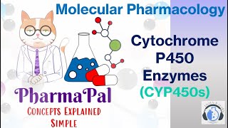 CYP450 Enzymes Explained The Key to Metabolism amp Drug Processingquot 📚🎥🔬 [upl. by Ancel]