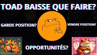 TOAD EST EN CHUTE LIBRE QUE FAIRE POURQUOI LA CHUTE QUE FONT LES BALEINES  BUY OR SELL memes [upl. by Gardel]