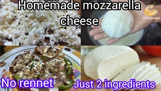 Tictacsamayal Homemade mozzeralla cheese in tamil  How to make mozzarella cheese just ingredients [upl. by Yelahc]