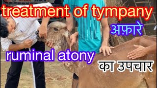 treatment of tympany l bloat l अफारे का उपचार l impaction of rumen l dr umar khan [upl. by Xino118]