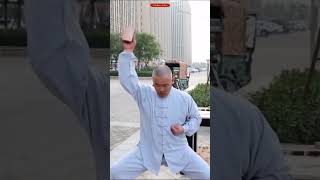 Shaolin Monks Training shorts facts viral [upl. by Aihtenak378]