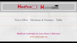 Nerve fiber classification amp features  ERLANGER amp GASSER CLASSIFICATION OF NERVE FIBERS Table [upl. by Enimaj]