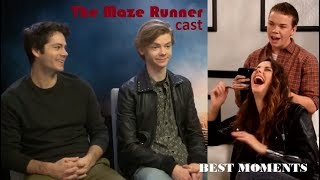 The Complete Maze Runner Timeline  Cinematica shorts [upl. by Bary]