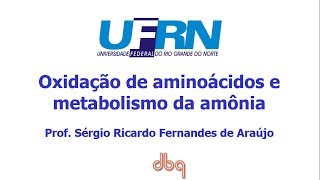 Curso de Bioquimica Oxidação de aminoácidos e ciclo da uréia [upl. by Yssak]