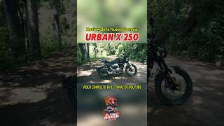 Review Génesis Urban X 250 todo lo que debes saber 🗿🏍️🔥 urbanx250 genesis scrambler 250cc [upl. by Boyse309]