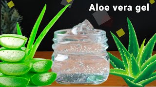 CÓMO HACER GEL DE ALOE VERA CASERO y COMO CONSERVARLO POR AÑOS  GEL DE SÁBILA 100 PURO✅ [upl. by Rehptsirhc667]