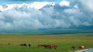 Ayanchin  Mongol Magtaal [upl. by Ayr]