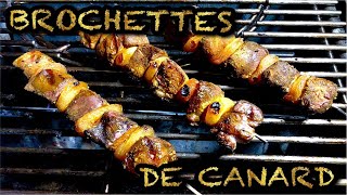 Brochettes de Canard [upl. by Ehtyaf60]