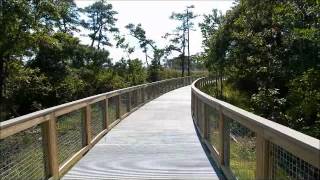 Gordons Pond Trail Cape Henlopen State Park [upl. by Elleoj]