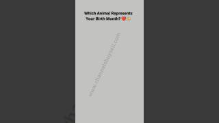 Which Animal Represents Your Birthday Monthshorts ytshorts trendingshorts viralshorts [upl. by Anidnamra163]